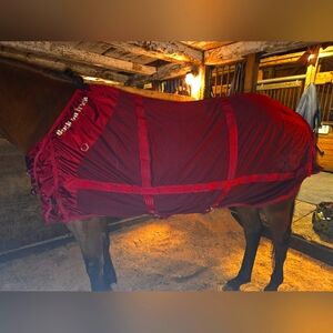 Back On Track Mesh Sheet